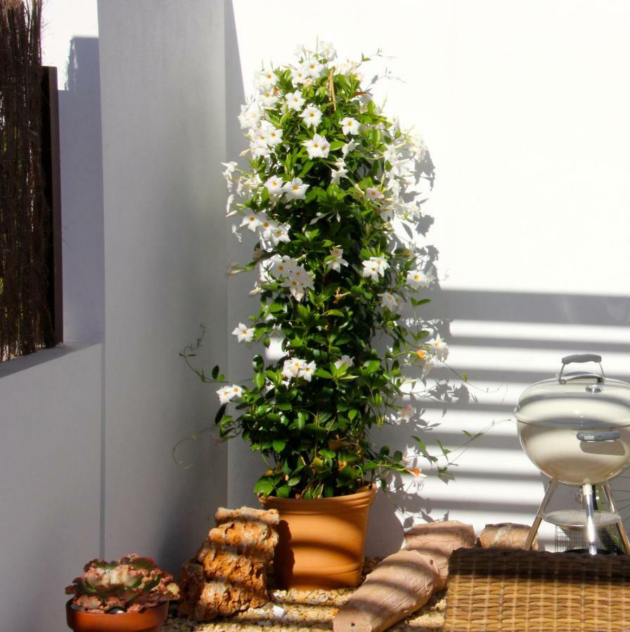 Casa Laura Villa Orihuela Exteriör bild
