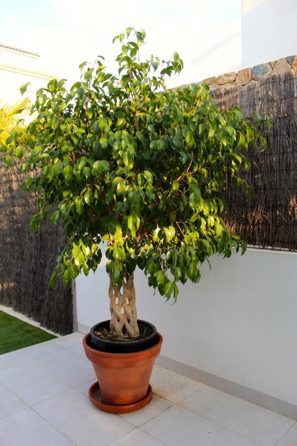 Casa Laura Villa Orihuela Exteriör bild
